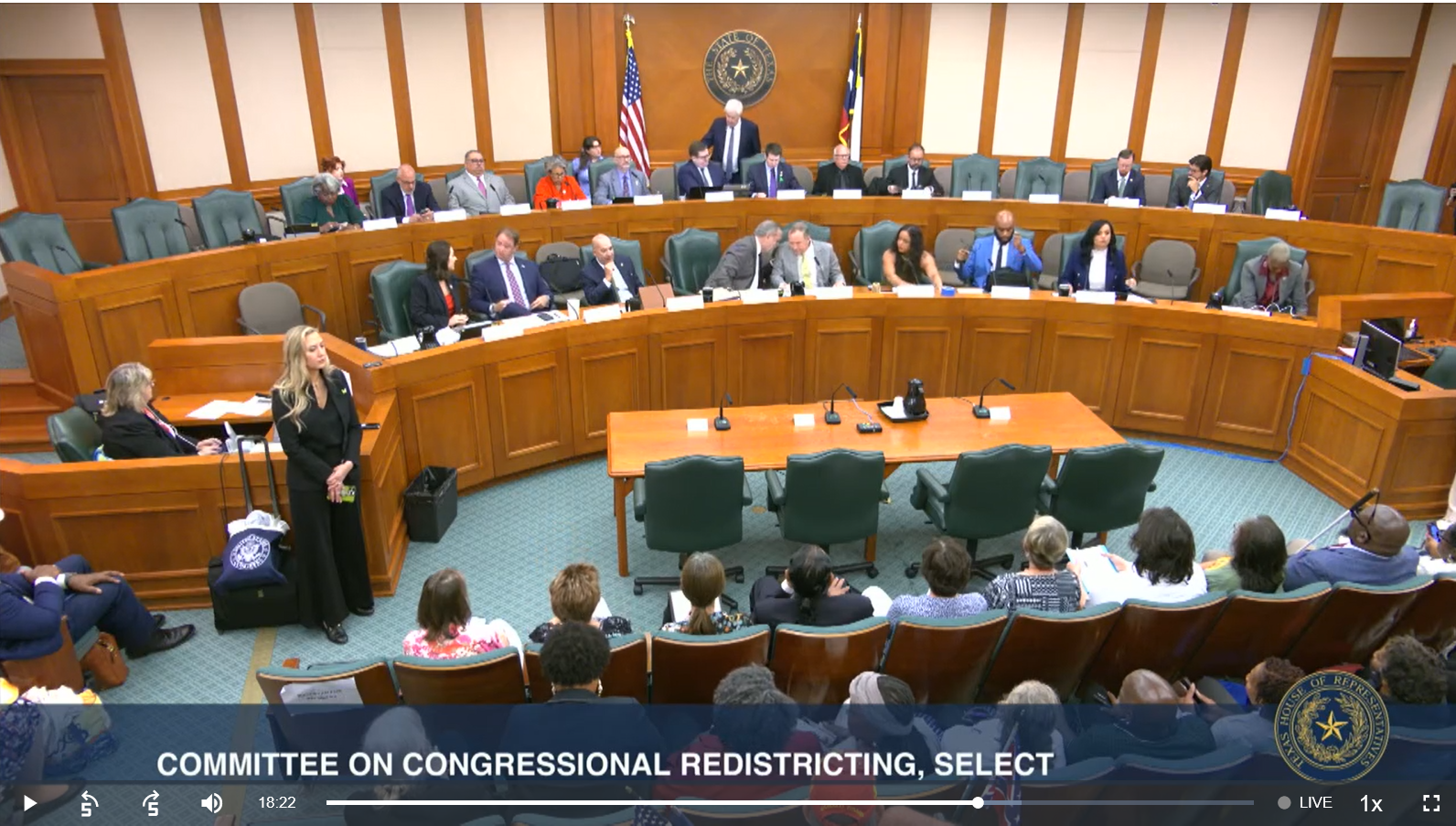 Texas House Redistricting Committee